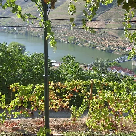 Quinta Da Galeira * Pinhão