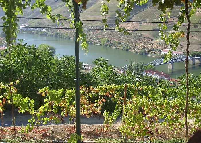 Quinta Da Galeira * Pinhão